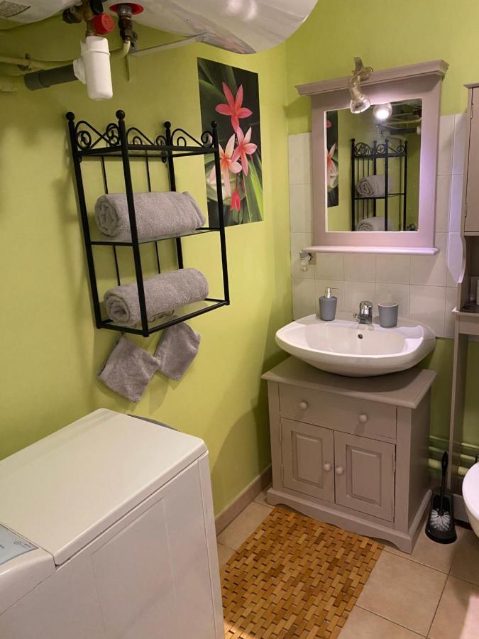 Appartement Cosy Avec Jardin Privatif Et Garage Fontainebleau Esterno foto